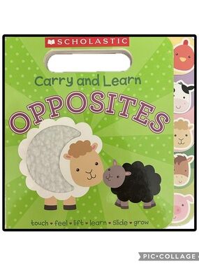 BUNDLE & SAVE 🐑Scholastic Carry and Learn Opposites Board Book